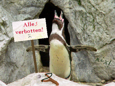 pinguin_blogwaechter09_1.jpg